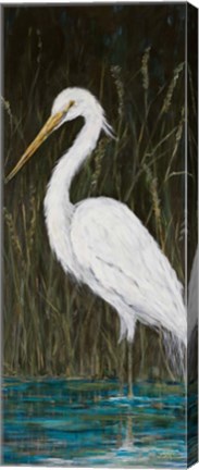 Framed White Egret Print