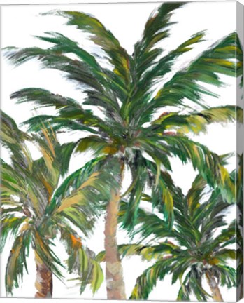 Framed Tropical Trees on White III Print