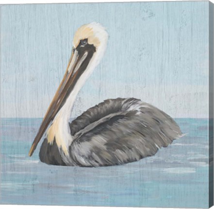 Framed Pelican Wash I Print