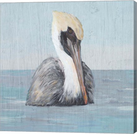 Framed Pelican Wash II Print