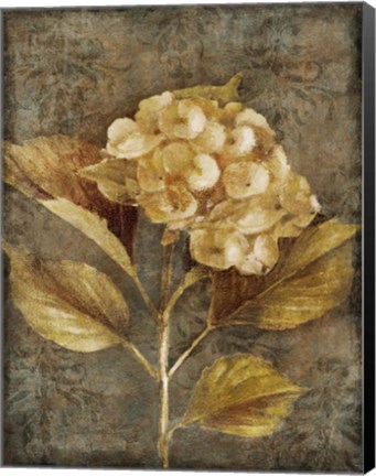 Framed Antique Hydrangea I Print