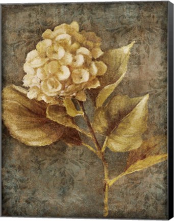 Framed Antique Hydrangea II Print