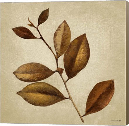 Framed Antiqued Leaves II Print