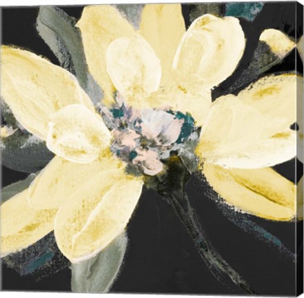 Framed Yellow Blooms on Black II Print