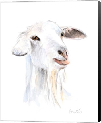 Framed Goat I Print