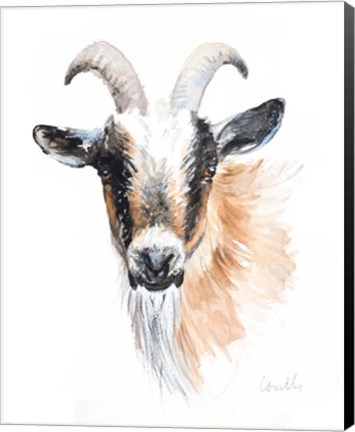 Framed Goat II Print