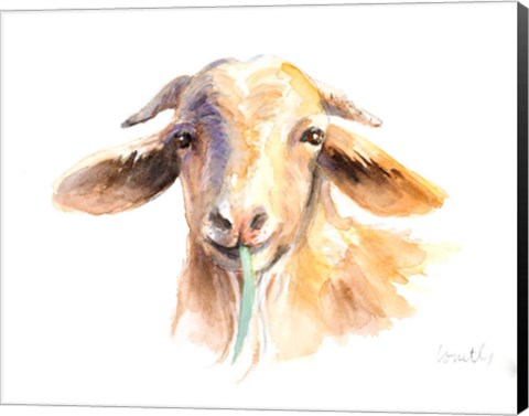 Framed Goat IV Print