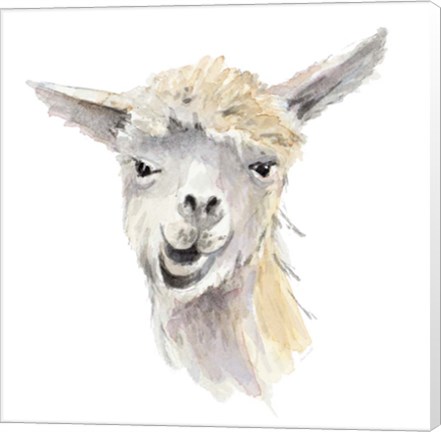 Framed Talking Llama Print