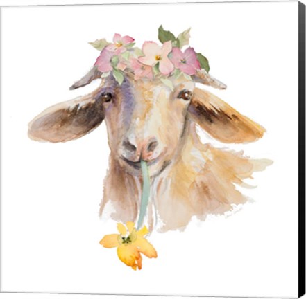 Framed Flower Goat Print