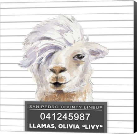 Framed Llamas Livy Print