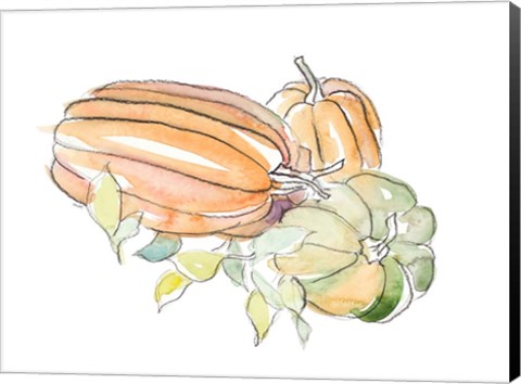 Framed Harvest Pumpkin and Squash I Print