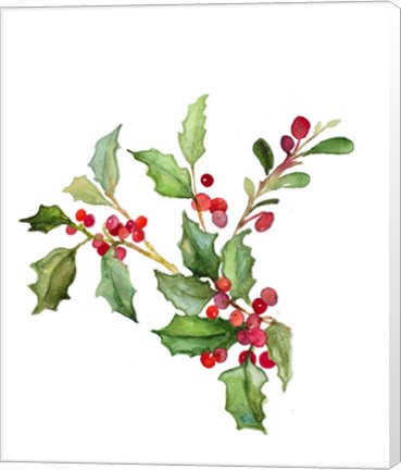 Framed Holly Branches II Print