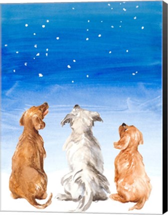 Framed Three Dogs Star Gazing Print