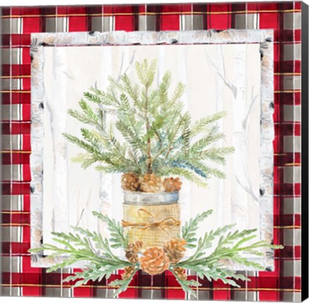 Framed Holiday Sprig on Plaid I Print