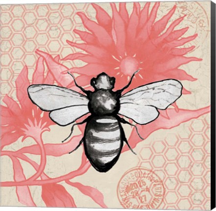 Framed Bee on Pink Flower Square Print