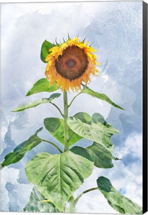 Framed Summer Sunflower Print