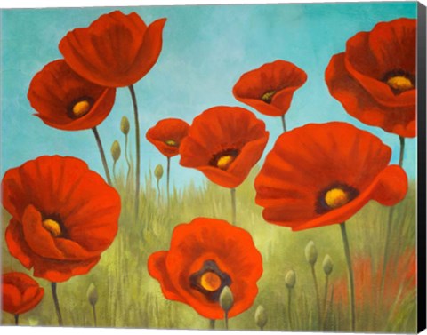 Framed Field of Poppies II Print