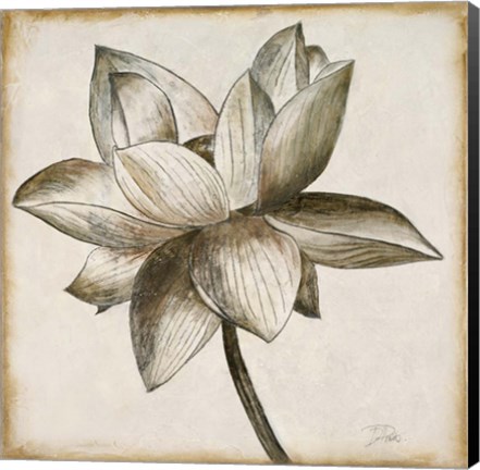 Framed Sepia Lotus I Print