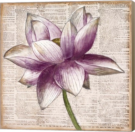 Framed Defined Lotus I Print