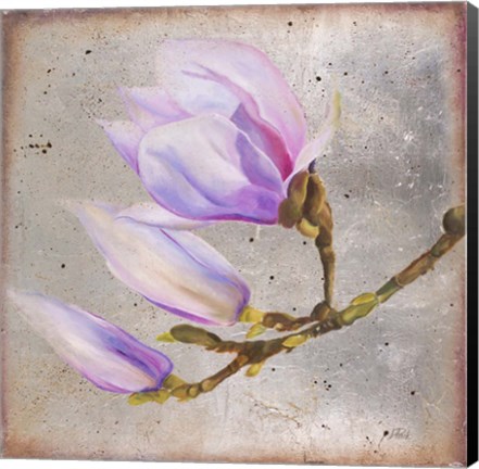 Framed Magnolia on Silver Leaf I Print