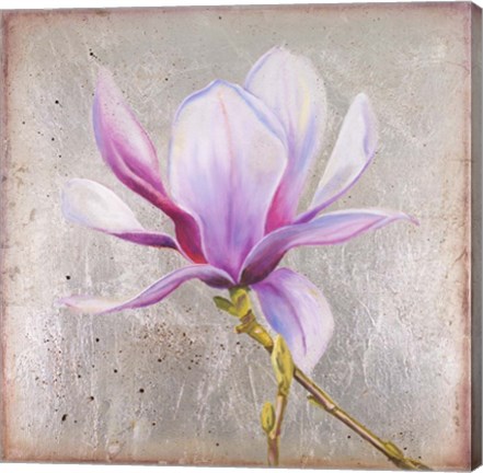 Framed Magnolia on Silver Leaf II Print