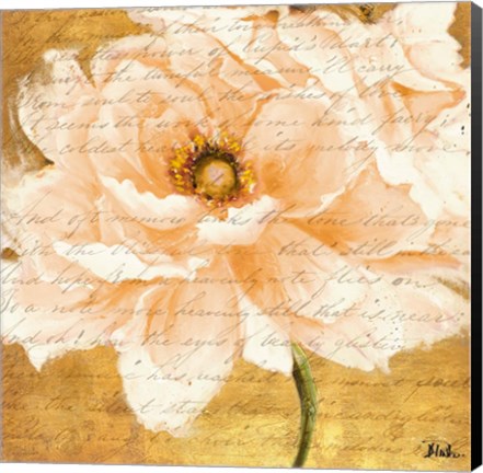 Framed Beautiful Cream Peonies Script I Print