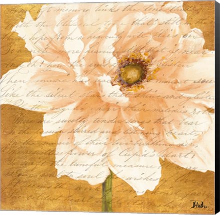 Framed Beautiful Cream Peonies Script II Print