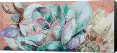 Framed Desert Flower on Terra Cotta Print