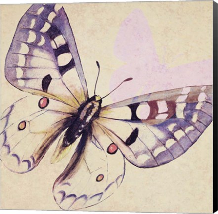 Framed Lavender Butterfly on Cream Print