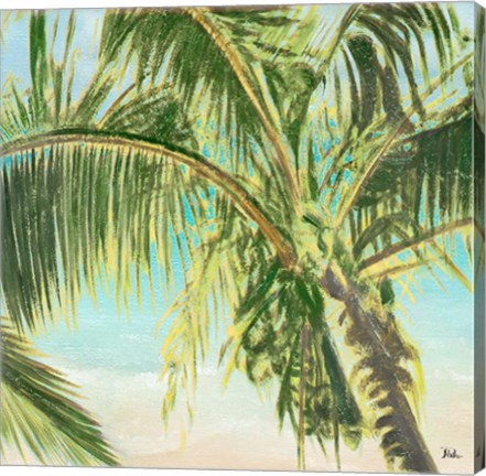 Framed Bright Coconut Palm II Print