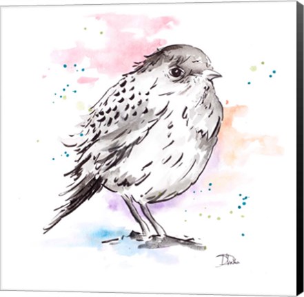 Framed Bird Sketch III Print