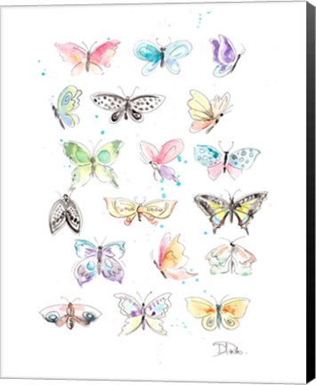 Framed Butterfly Collection Print
