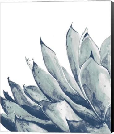 Framed Blue Agave on White I Print