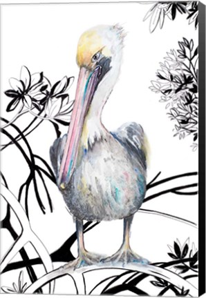 Framed Pelican on Branch I Print