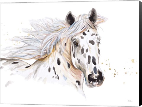 Framed Appaloosa Print