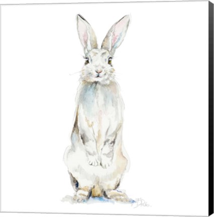 Framed Cute Rabbit Print