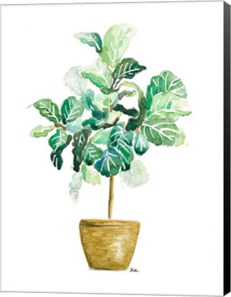 Framed Fig Plant Print