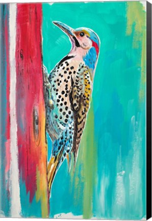 Framed Woodpecker II Print