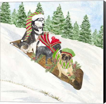 Framed Dog Days of Christmas III Sledding Print
