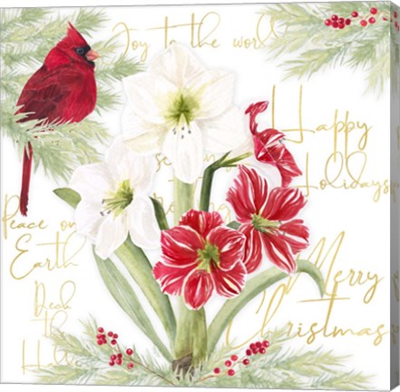 Framed Merry Amaryllis II Print