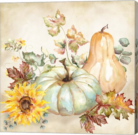 Framed Watercolor Harvest Pumpkin II Print