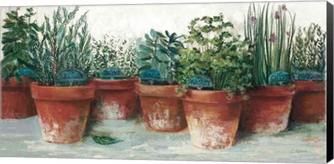 Framed Pots of Herbs II White Print