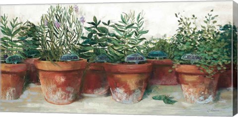 Framed Pots of Herbs I White Print