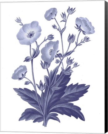 Framed Dark Blue Botanical VI Print