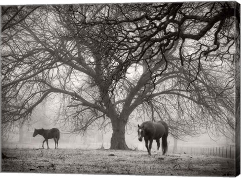 Framed Morning Calm II BW Print