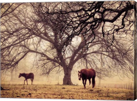 Framed Morning Calm II Print