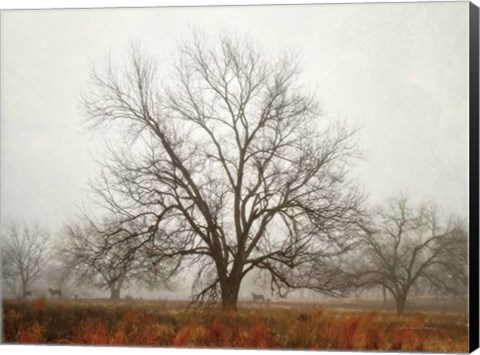 Framed Morning Calm I Print