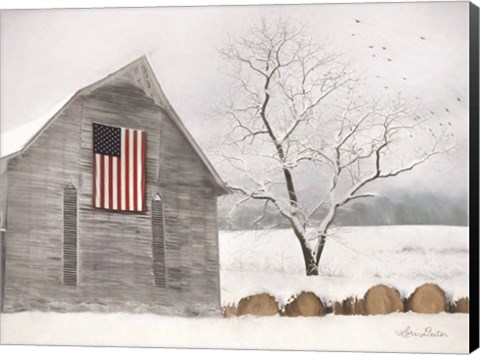 Framed Old Glory Print