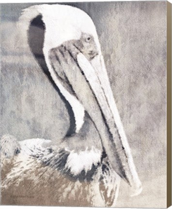 Framed Pelican Print