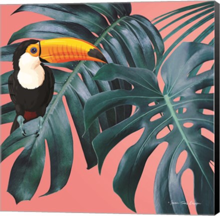 Framed Toucan Print